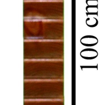 Escalerilla de dedos